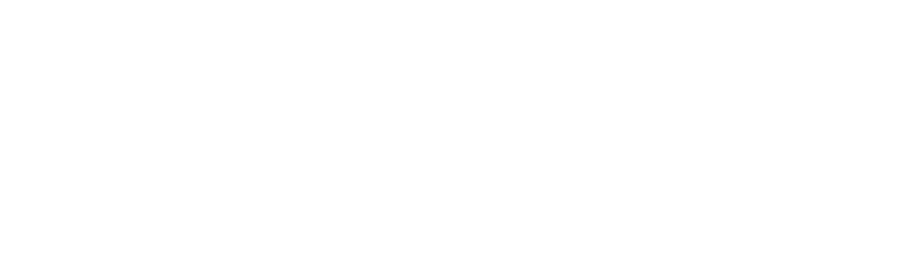 iNRISE